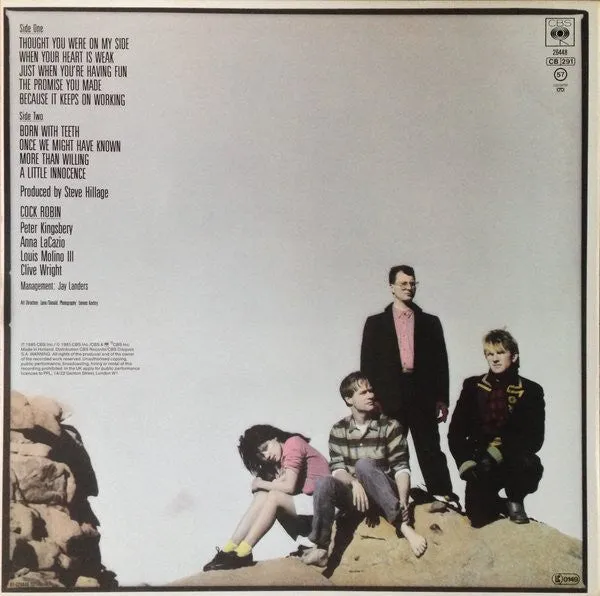 Cock Robin Cock Robin LP vinile Europa 1985 synth-pop