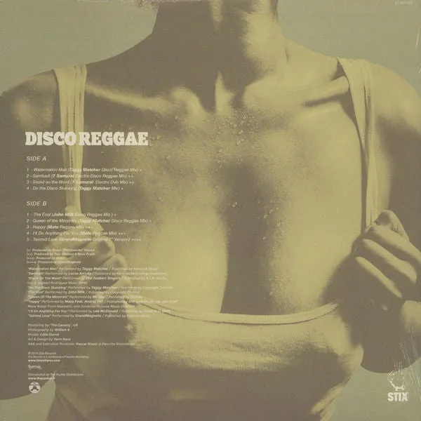 Various Disco Reggae Volume Two LP vinile disco dub