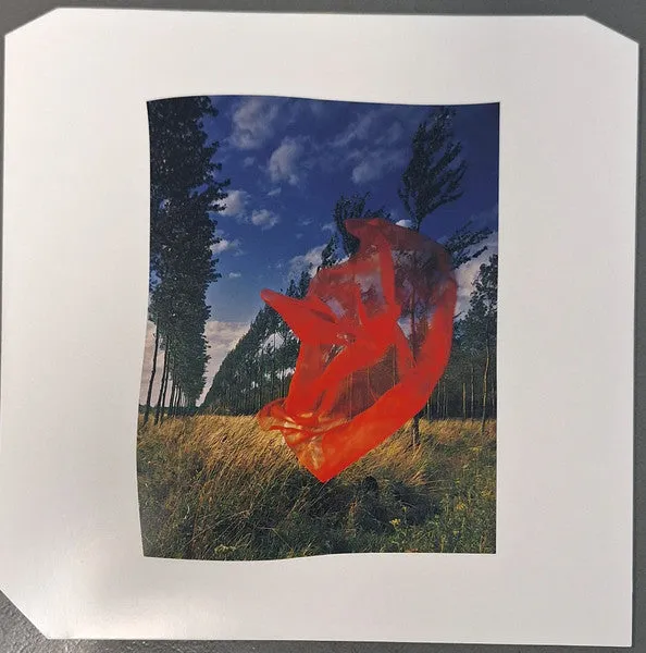 Pink Floyd Wish You Were Here LP vinile yellow flame 50°