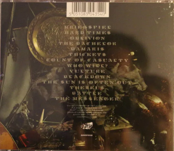 Patrick Wolf The Bachelor CD album elettronica alternative 2009
