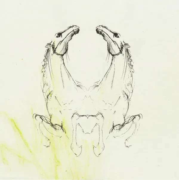 My Brightest Diamond Tear It Down CD album remix