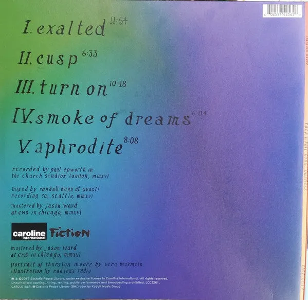 Thurston Moore Rock N Roll Consciousness doppio LP gatefold