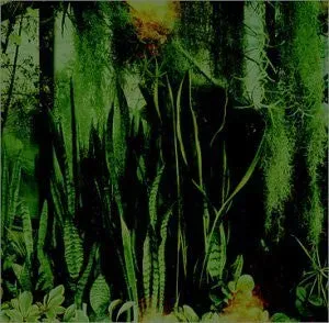 Promise Ring Wood Water CD album emo 2002