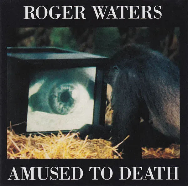 Roger Waters Amused To Death CD QSound usato NM