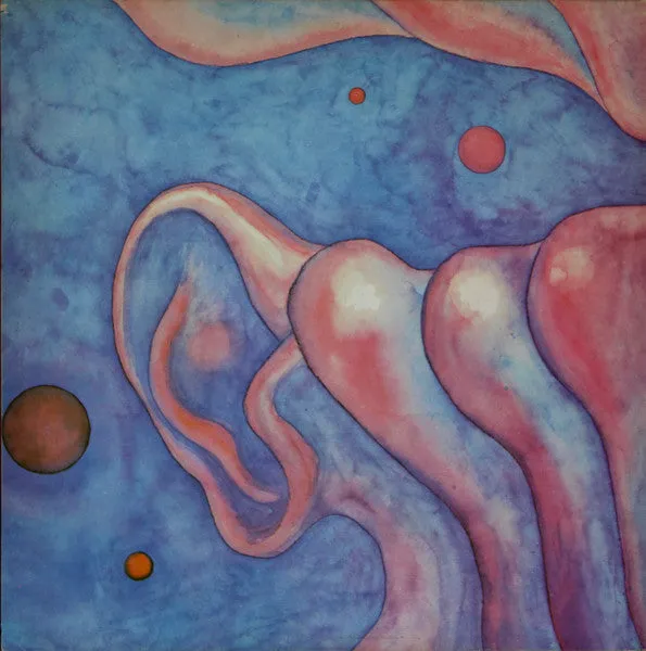 King Crimson In The Court vinile LP usato 1977