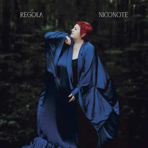 NicoNote Regola LP Album Vinile Mint Ambient