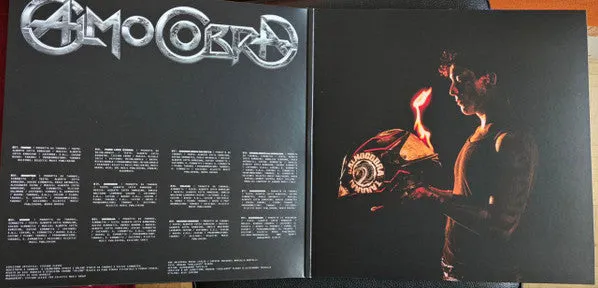 Tananai Calmocobra vinile LP gatefold firmato indie pop