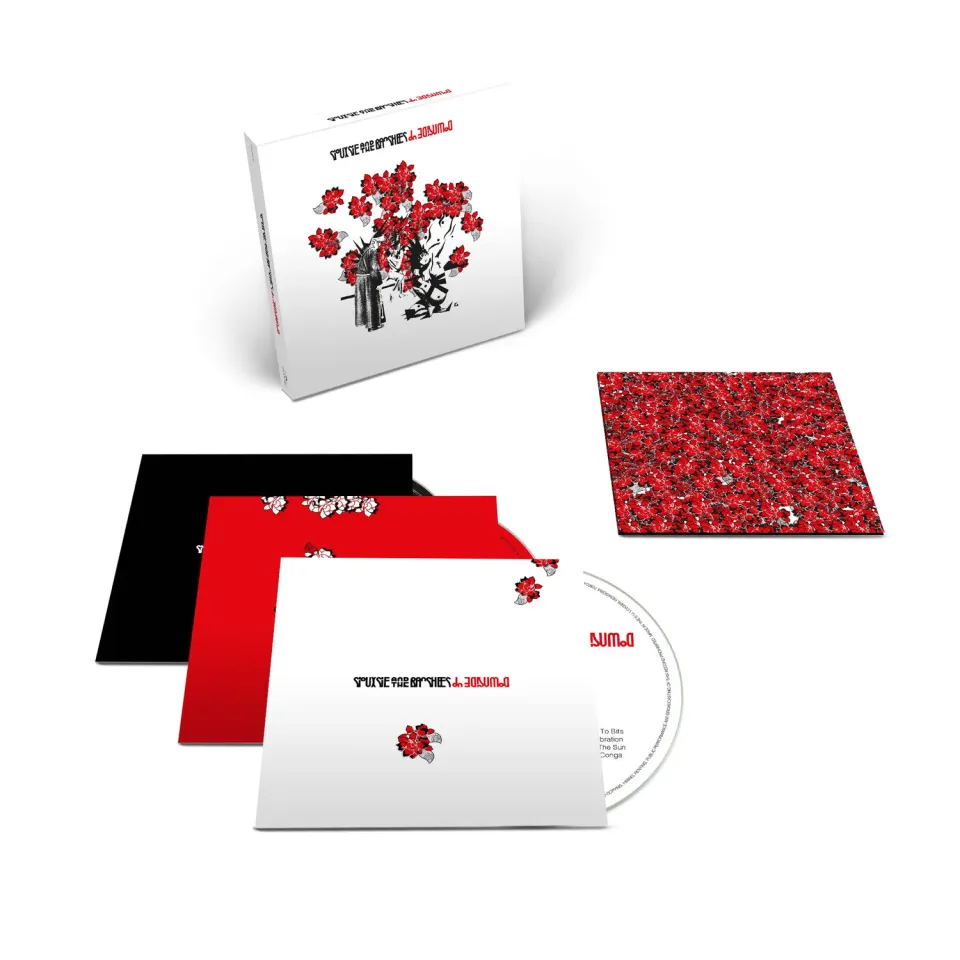 Siouxsie Downside Up Cofanetto 3 CD rimasterizzato