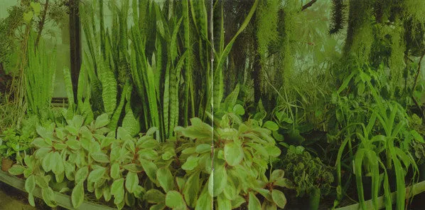 Promise Ring Wood Water CD album emo 2002