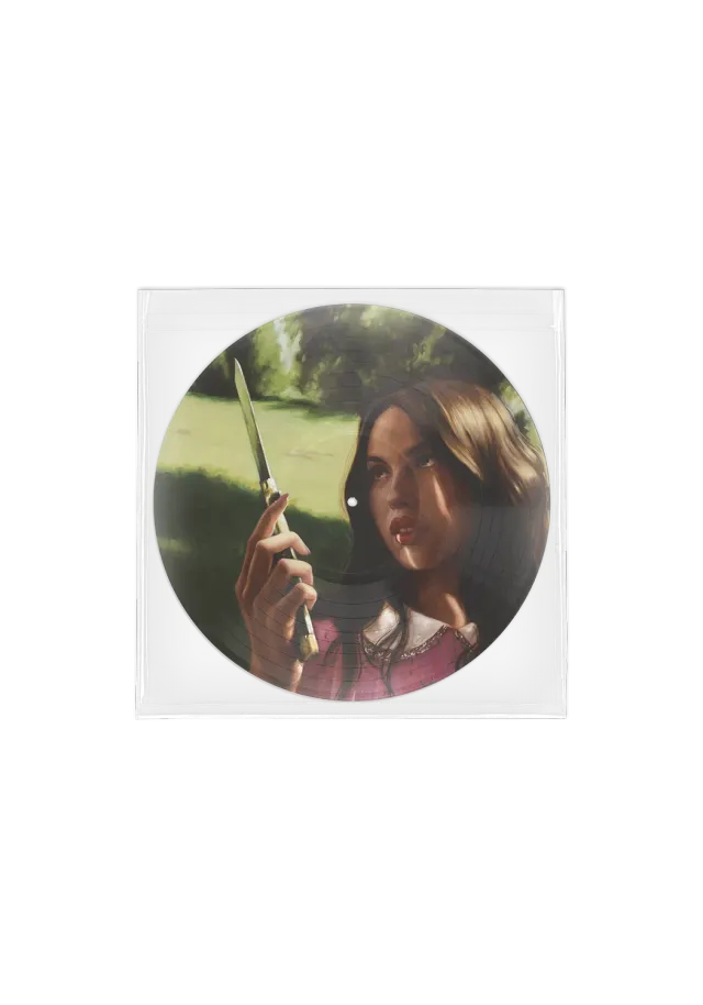 Polydor Olivia Rodrigo Carve Our Names picture disc vinile