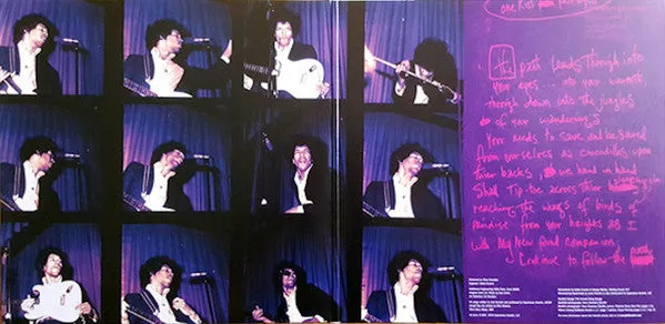 Jimi Hendrix Experience Are You Experienced 2LP 180g NM