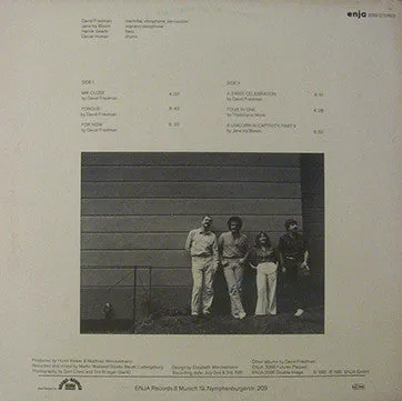 David Friedman Of The Wind's Eye LP jazz usato