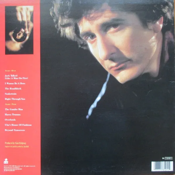Stan Ridgway Partyball LP usato synth-pop
