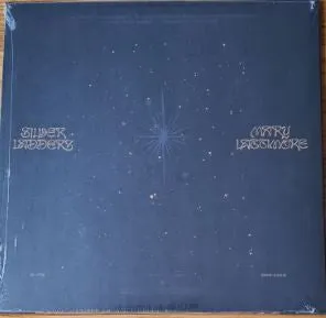 Mary Lattimore Silver Ladders vinile argento Ltd 2021