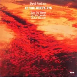 David Friedman Of The Wind's Eye LP jazz usato