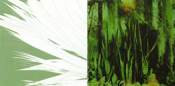 Promise Ring Wood Water CD album emo 2002