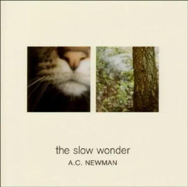 A.C. Newman The Slow Wonder CD usato VG+ indie rock