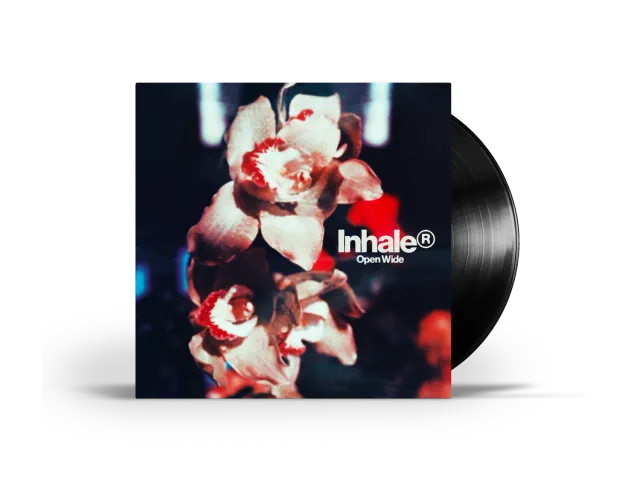 Inhaler Open Wide vinile LP standard nero