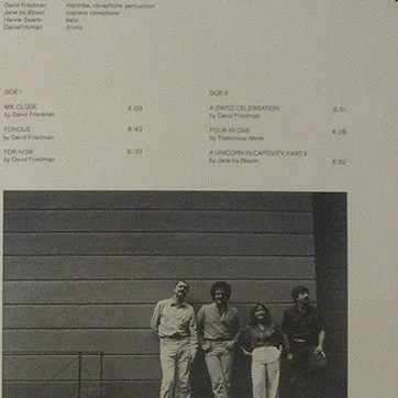 David Friedman Of The Wind's Eye LP jazz usato
