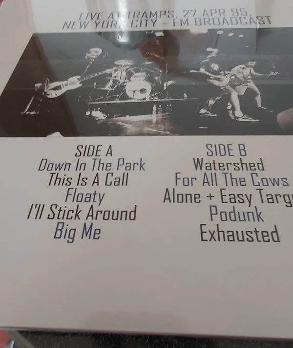 Foo Fighters Down In The Park vinile LP live tiratura 500