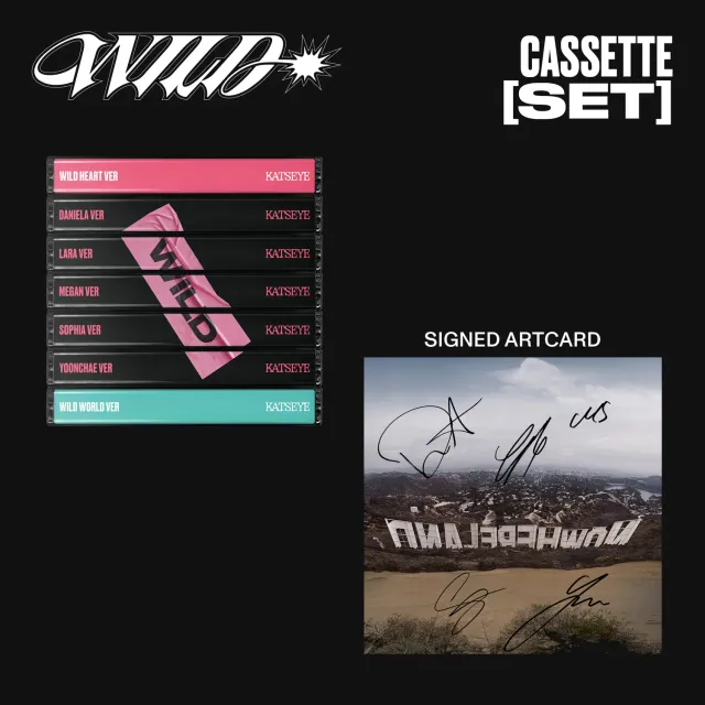 Polydor WILD Set 7 Musicassette Edizione UK + Art Card