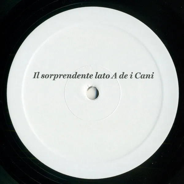 I Cani Sorprendente Album Esordio vinile LP indie 2022