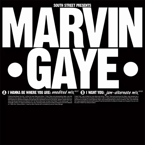 Marvin Gaye I Wanna Be Where You Are / I Want You 45 giri
