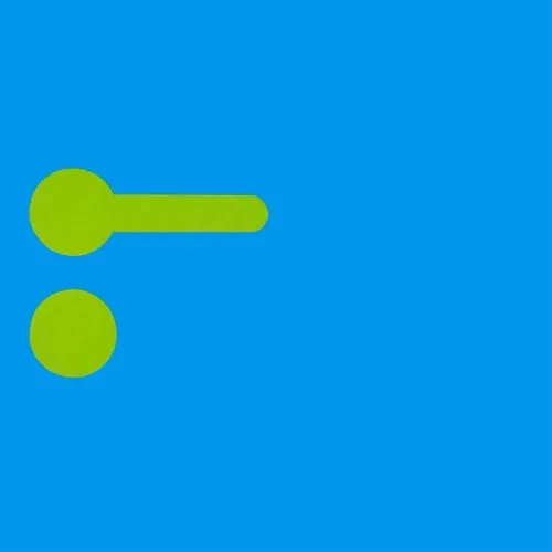 Flavio Giurato Il Tuffatore vinile LP 1982 con insert