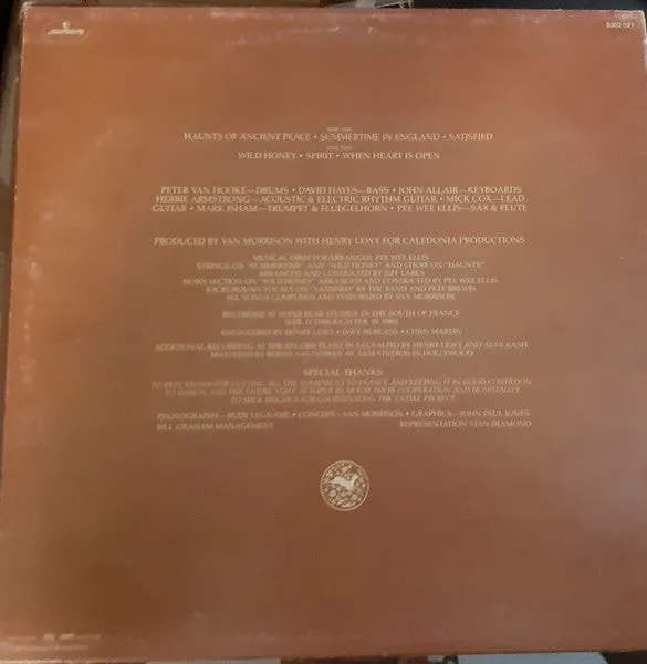 Van Morrison Common One vinile LP 1980 usato