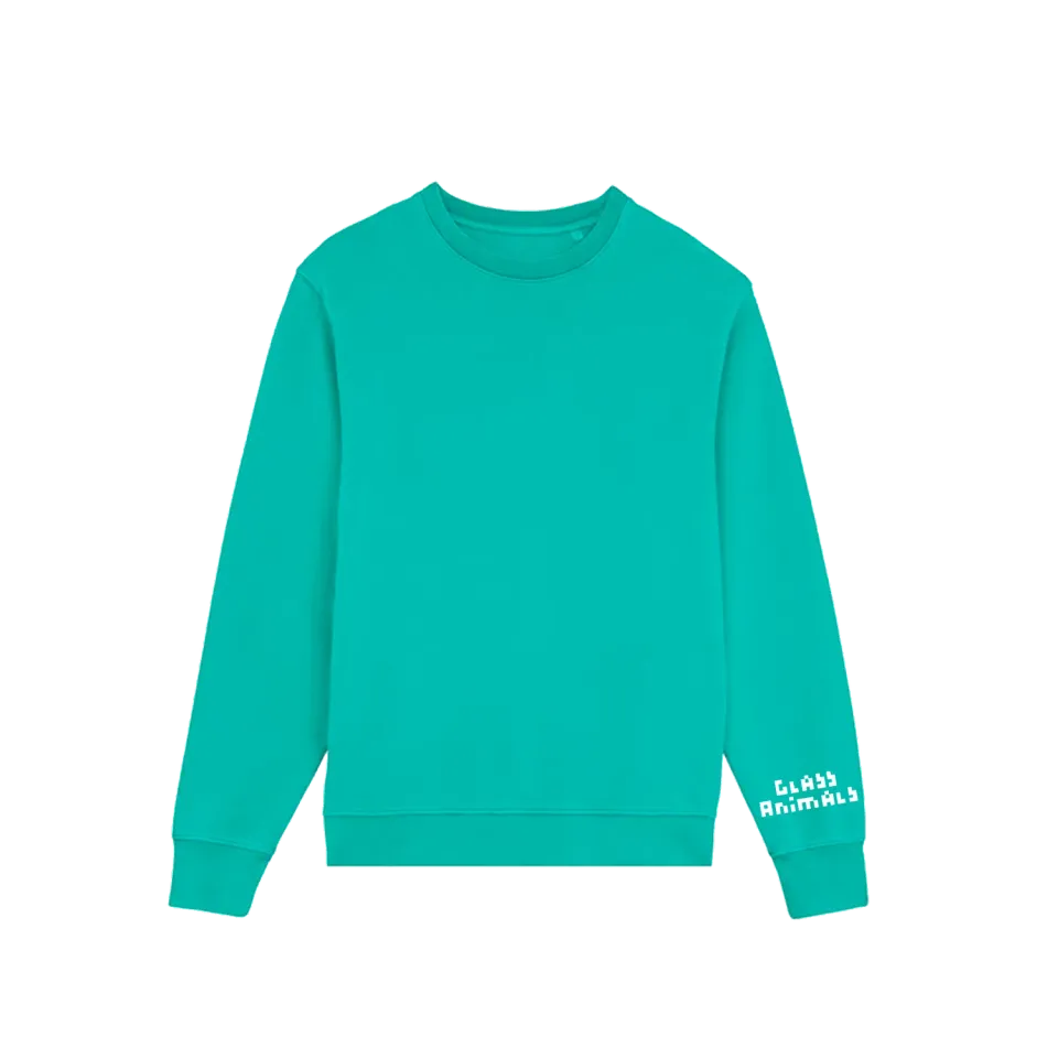 Glass Animals felpa ricamata cotone organico manica