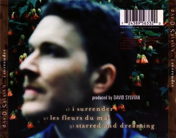 David Sylvian I Surrender CD singolo CD1 ambient 1999