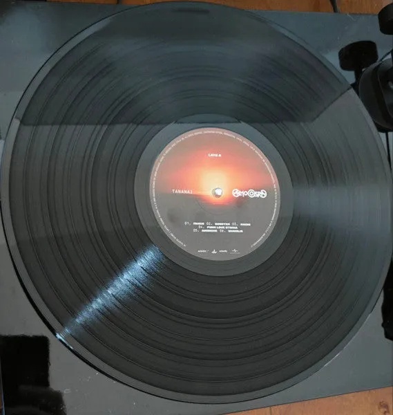 Tananai Calmocobra vinile LP gatefold firmato indie pop