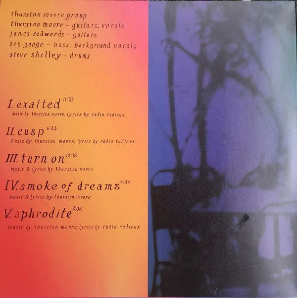Thurston Moore Rock N Roll Consciousness doppio LP gatefold